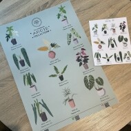 식물 스티커 & 포스터
